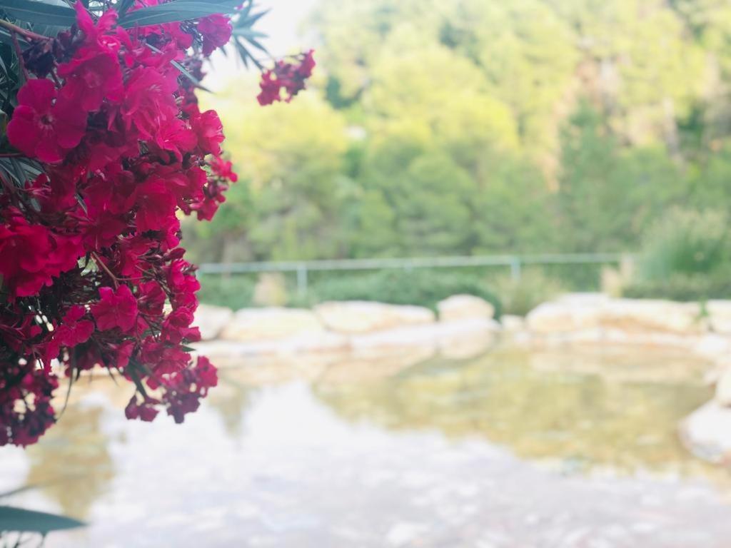 Moli Fariner Casa Rural ξενώνας Agullent Εξωτερικό φωτογραφία